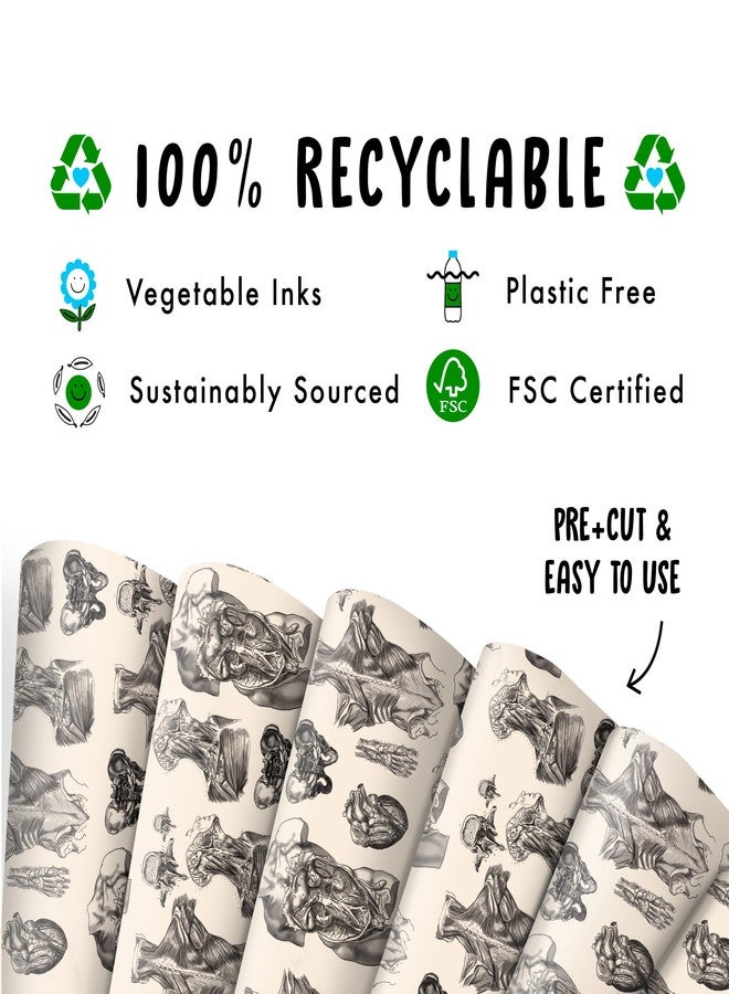 CENTRAL 23 Men Wrapping Paper Birthday - 6 Sheets of Gift Wrap and Tags - Human Anatomy - For Women - Gift for Students - Science Illustration Body - Comes with Stickers - Recyclable - Image 3